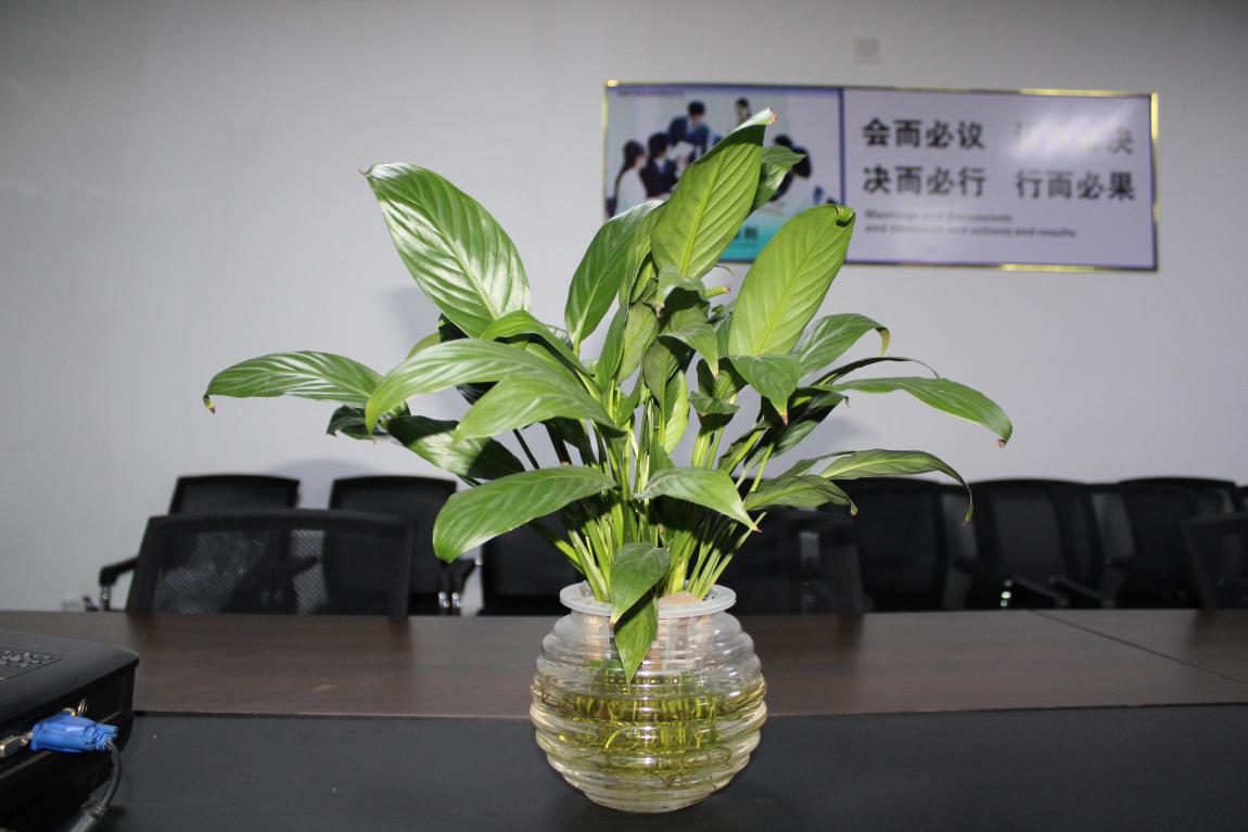 【高能計算機】您的每一個生日 我都不想缺席 【高能計算機】您的每一個生日 我都不想缺席